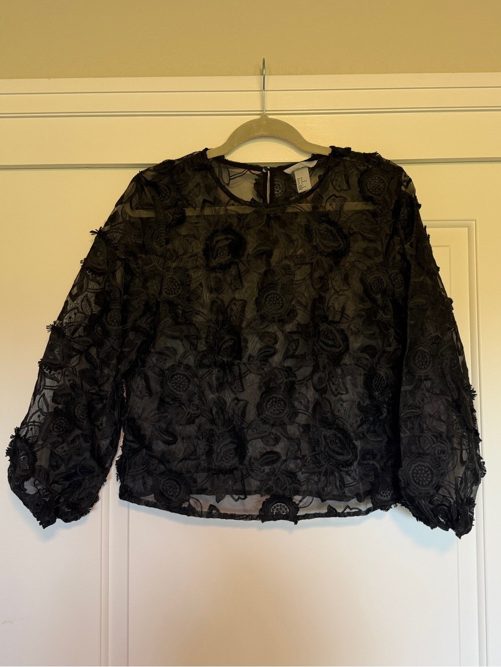 Sheer Black Floral Women's Blouse